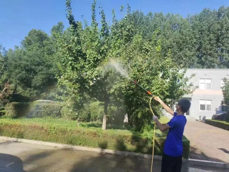 綠化養(yǎng)護10