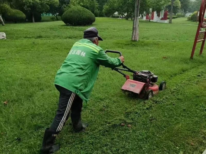 綠化養(yǎng)護7